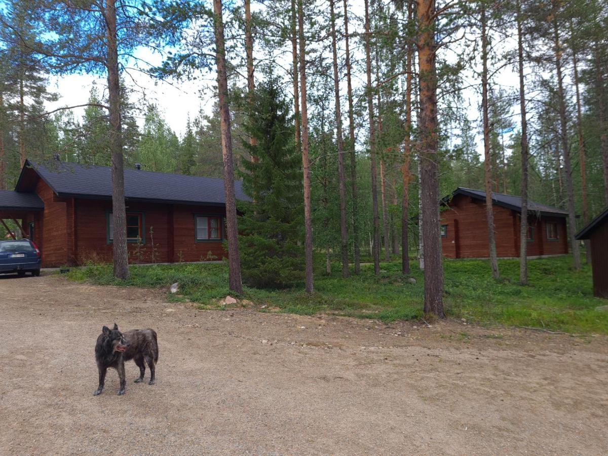 Silver Fox Hostel Äkäslompolo エクステリア 写真